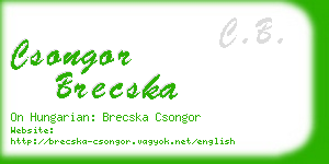 csongor brecska business card